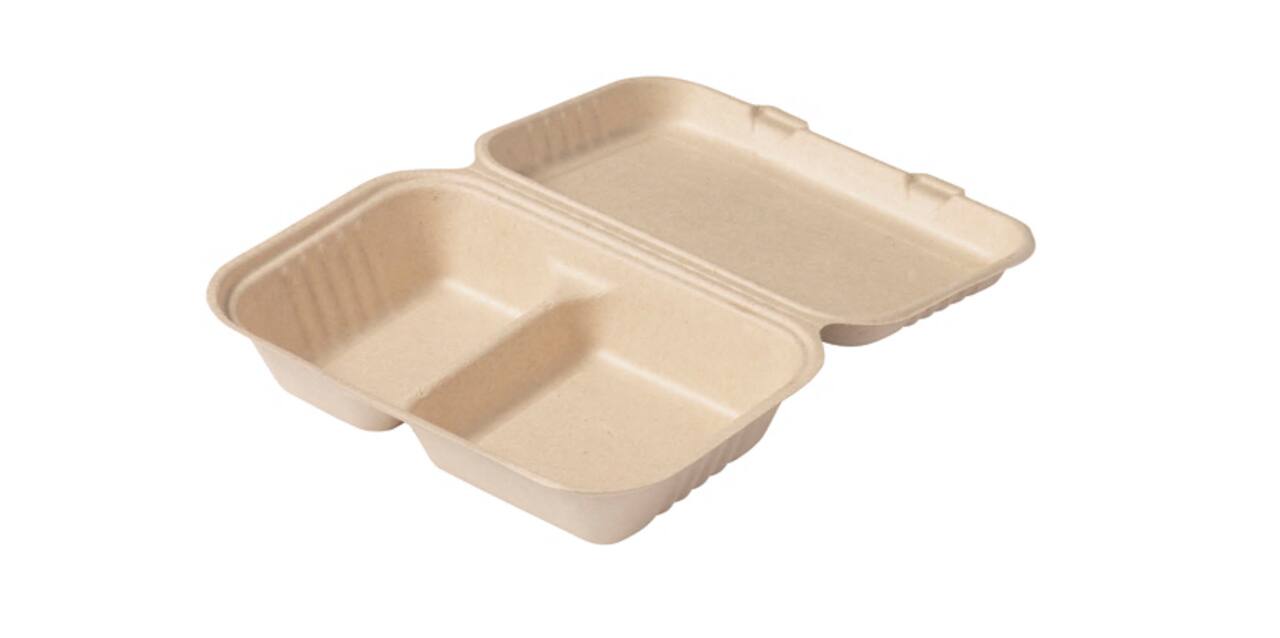 Hamburgermenubox bagasse 250x165x70mm 2-vaks
